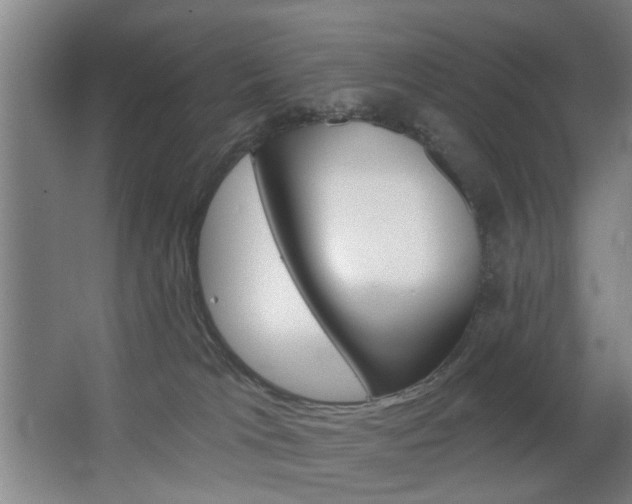 X0000063480037200601201036