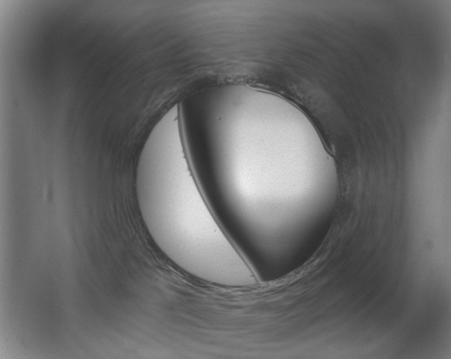 X0000063480041200601201036