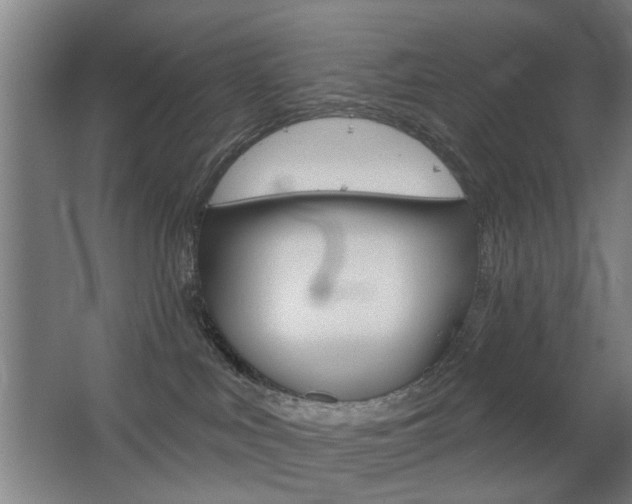 X0000063480043200601201036