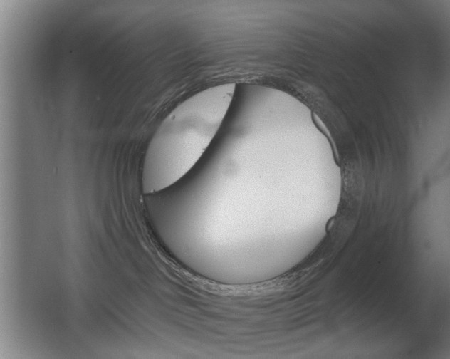 X0000063480046200601201036