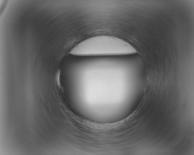 X0000063480047200601201036