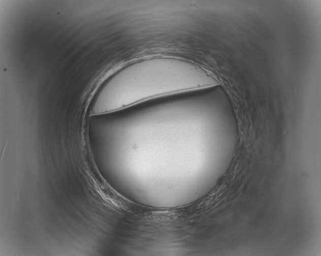X0000063480050200601201035