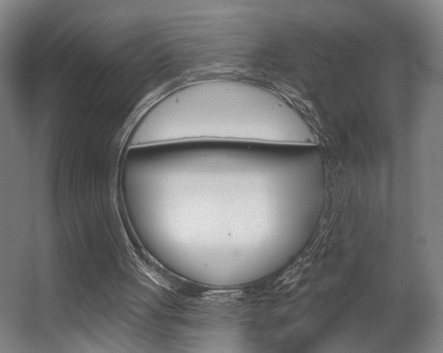 X0000063480051200601201035