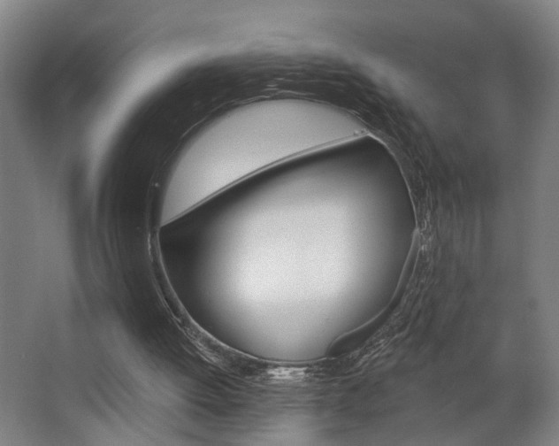 X0000063480052200601201035