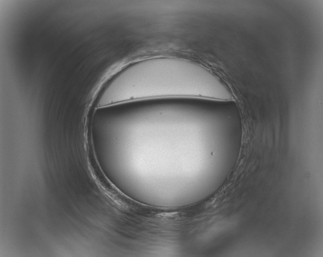 X0000063480054200601201035