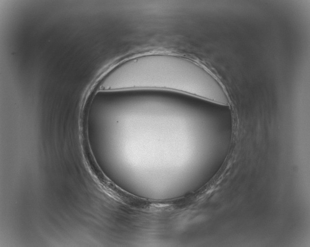 X0000063480055200601201035