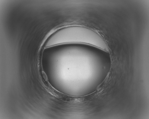X0000063480056200601201035