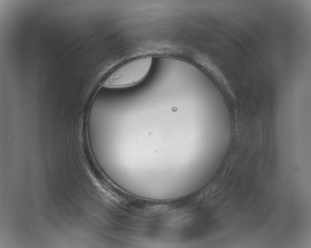 X0000063480058200601201035