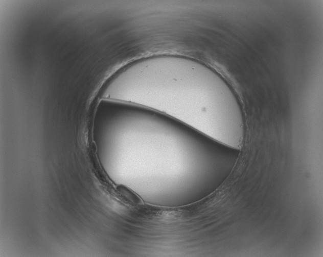 X0000063480060200601201035