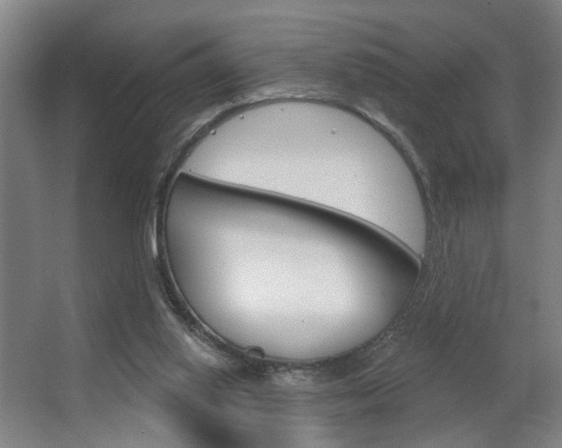X0000063480062200601201035