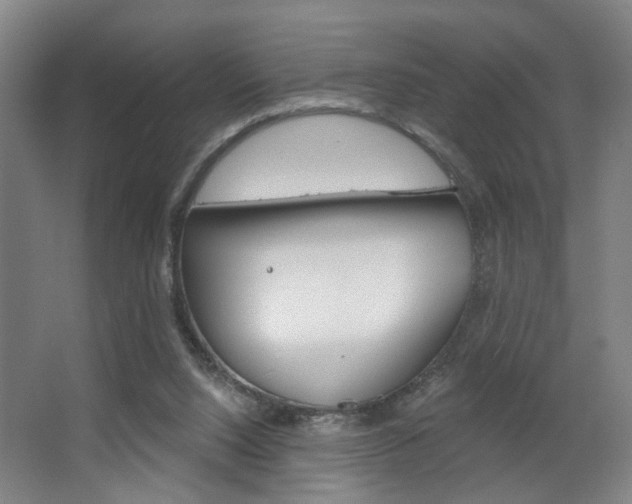 X0000063480064200601201036