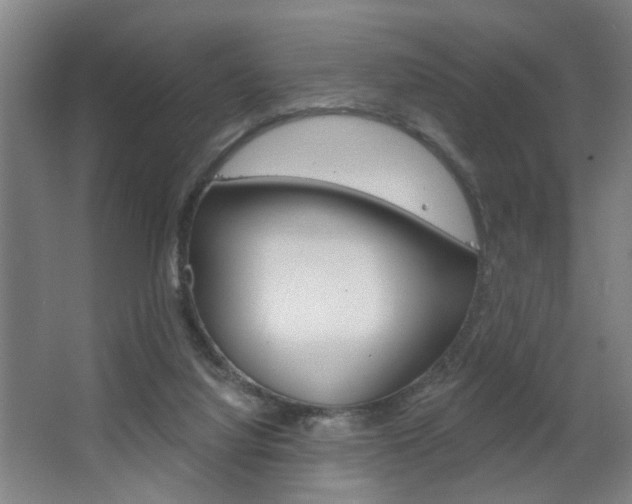 X0000063480068200601201036