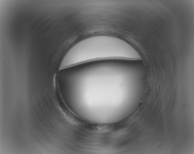 X0000063480070200601201036