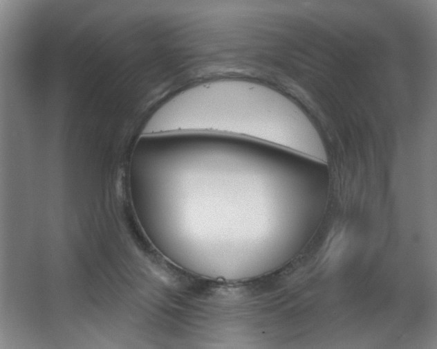 X0000063480071200601201036