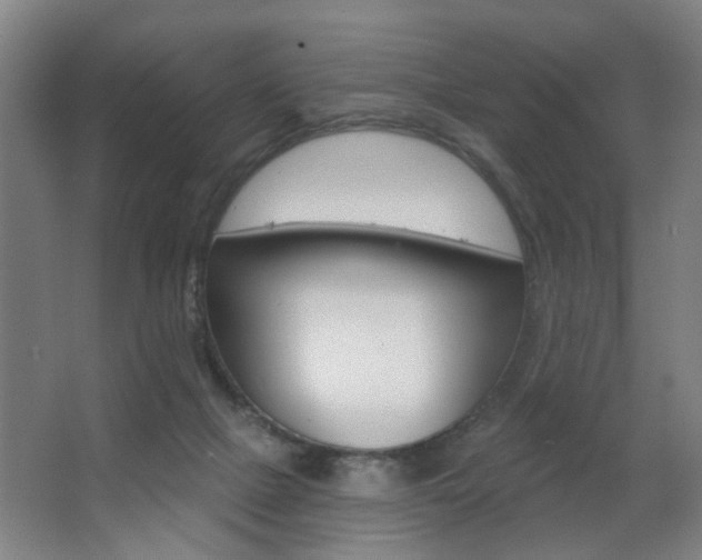 X0000063480073200601201036