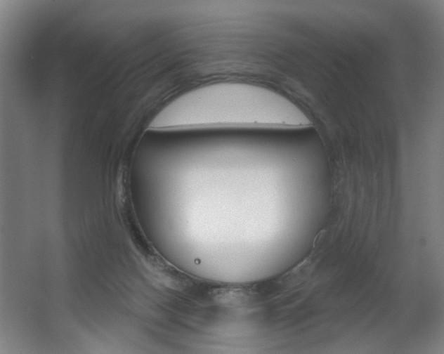 X0000063480074200601201036
