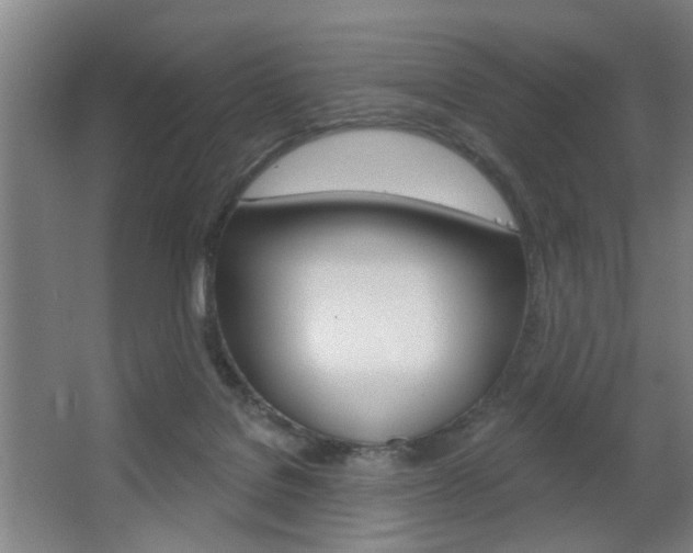 X0000063480076200601201036