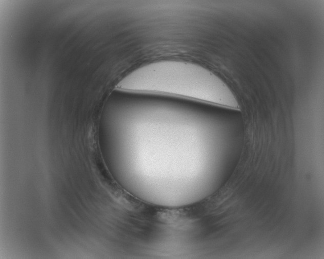X0000063480079200601201036