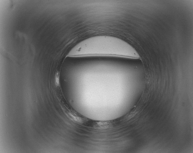 X0000063480095200601201036