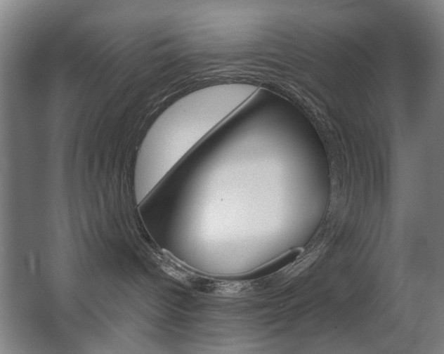 X0000063480096200601201036