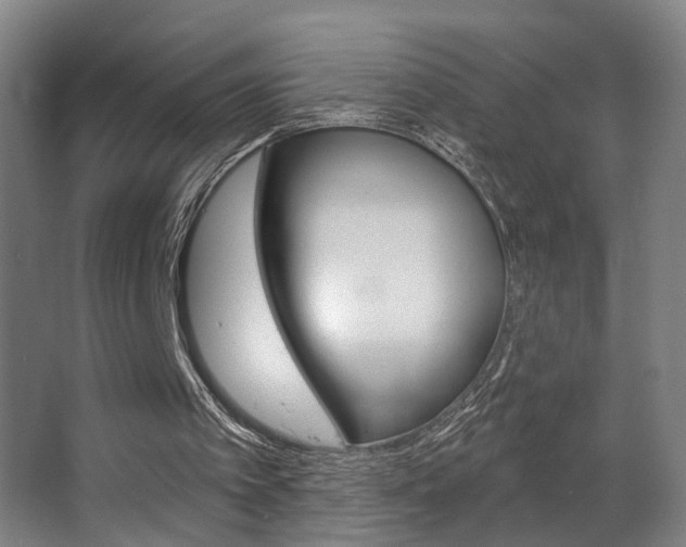 X0000063480097200601201035