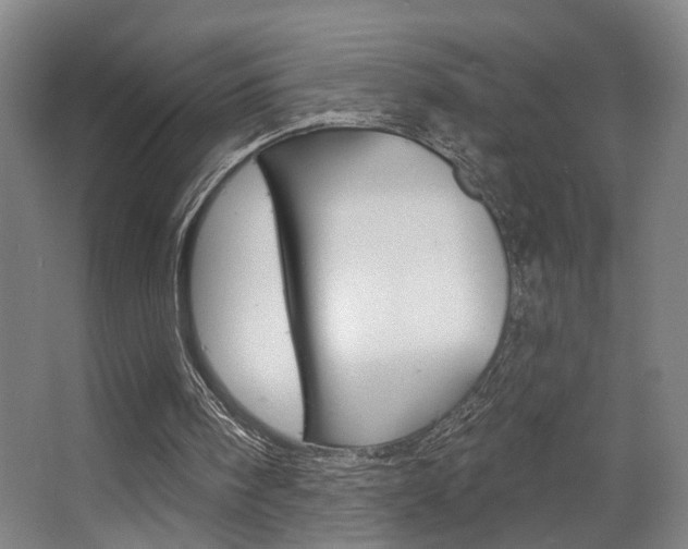 X0000063480098200601201035