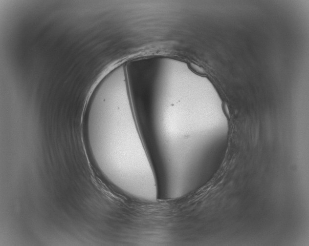 X0000063480100200601201035
