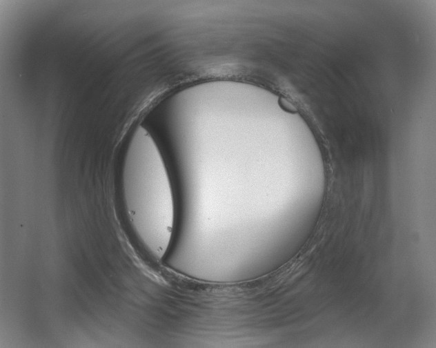 X0000063480106200601201035