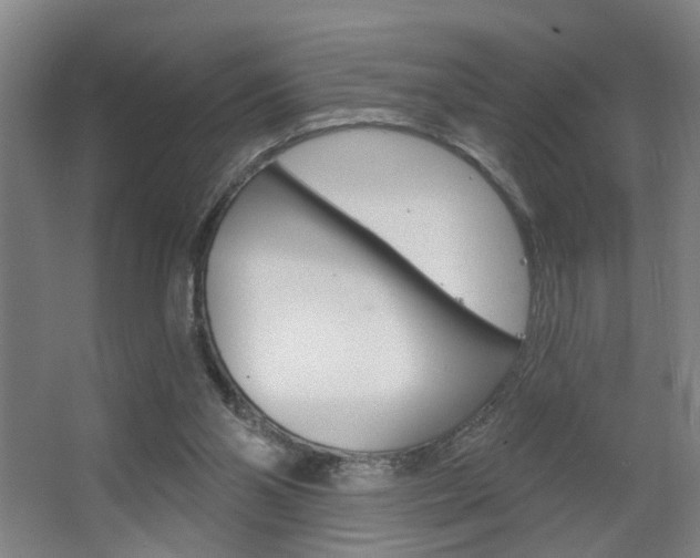 X0000063480110200601201035