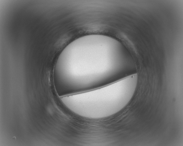 X0000063480115200601201035