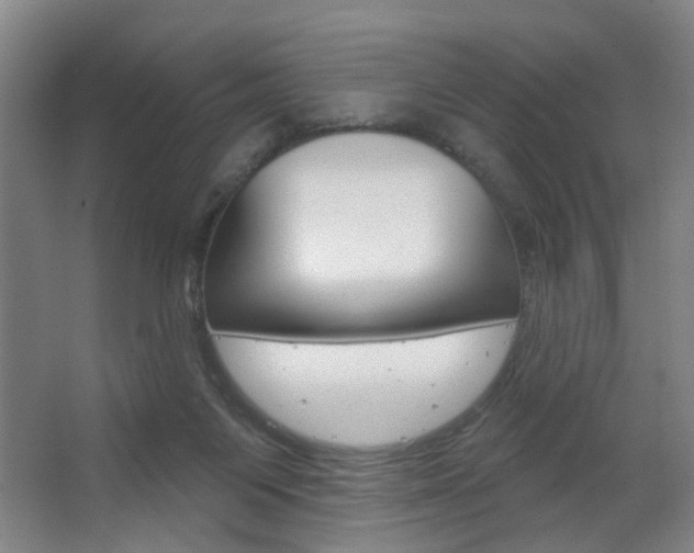 X0000063480119200601201035