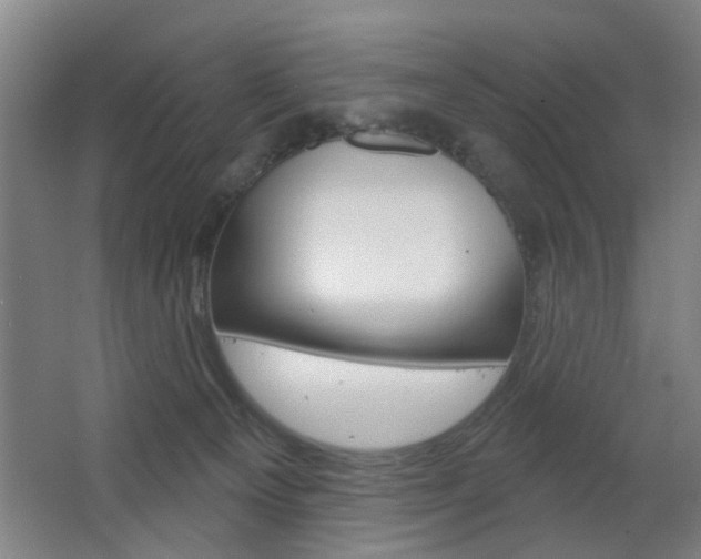 X0000063480129200601201035