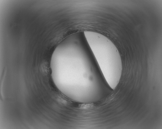 X0000063480135200601201035