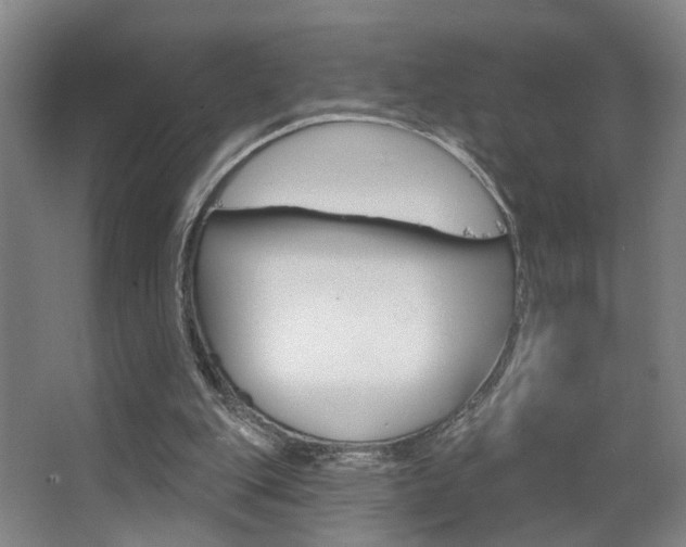 X0000063480151200601201034
