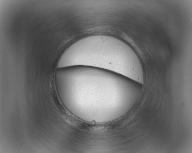 X0000063480161200601201034