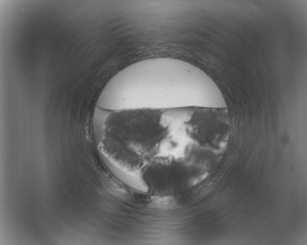 X0000063480185200601201034