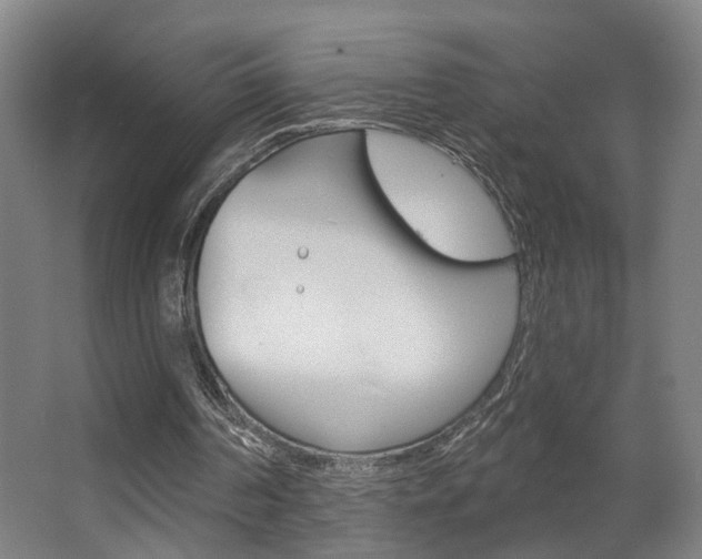 X0000063480194200601201034