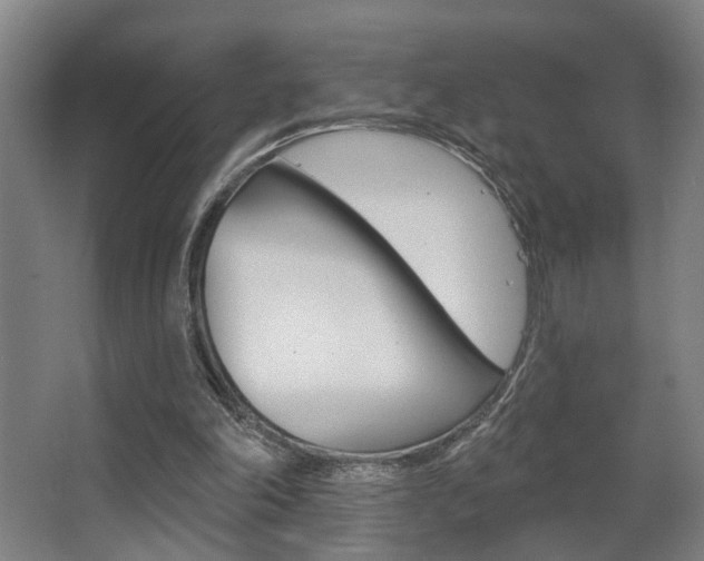 X0000063480198200601201034
