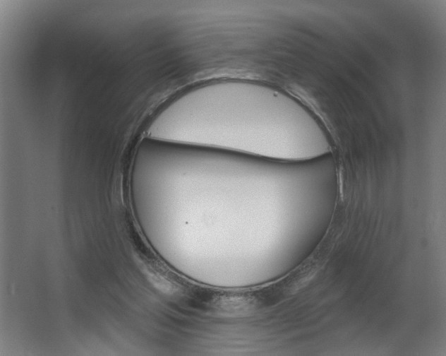 X0000063480205200601201033
