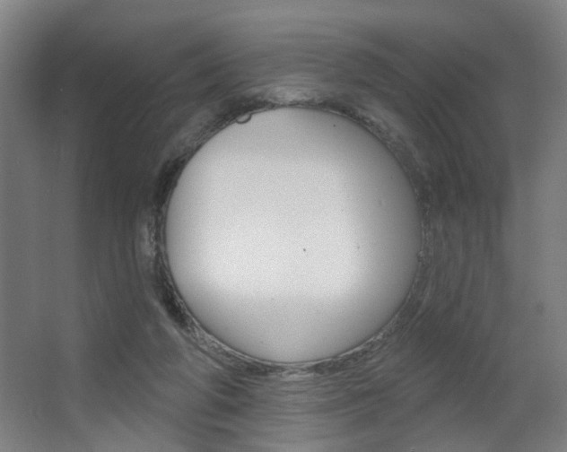 X0000063480210200601201033