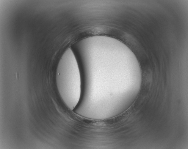 X0000063480214200601201033