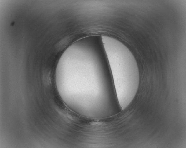 X0000063480216200601201033