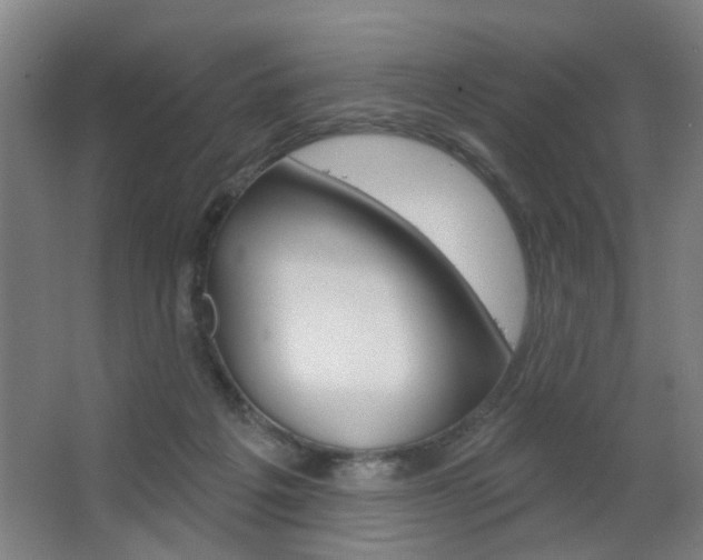 X0000063480217200601201033