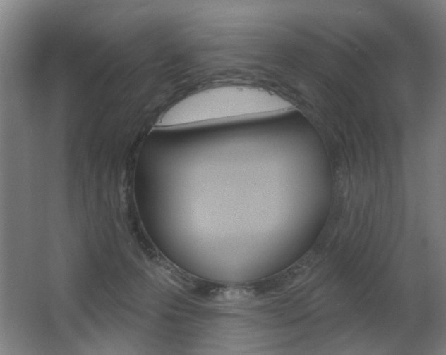 X0000063480223200601201033