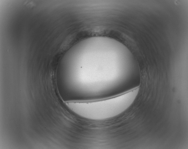 X0000063480225200601201033