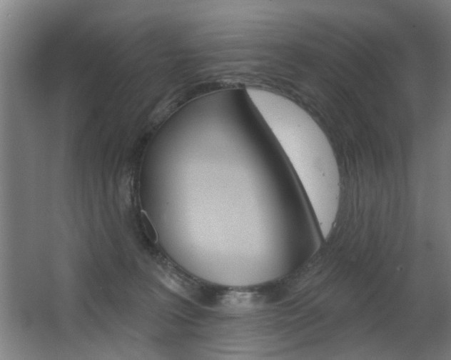 X0000063480227200601201033