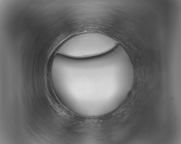 X0000063480242200601201032