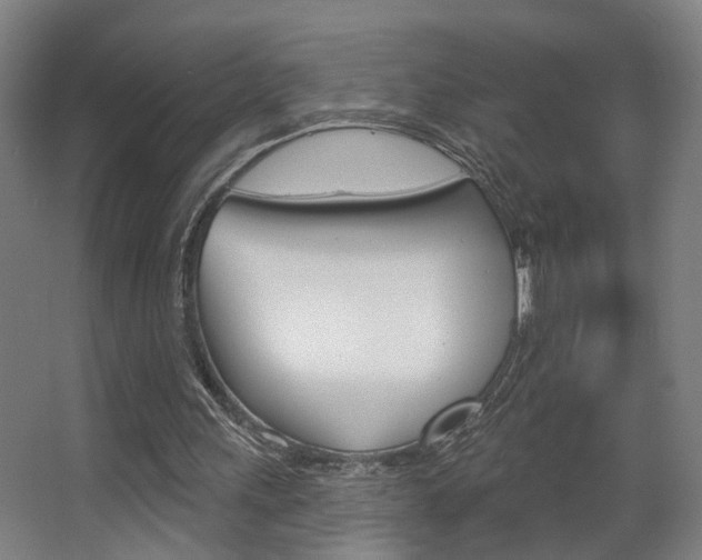 X0000063480243200601201032
