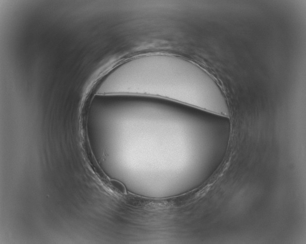 X0000063480245200601201032