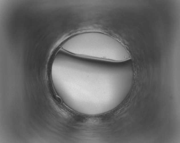 X0000063480248200601201032